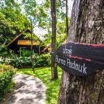 peace_resort-8999