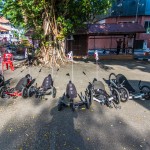 malaysia2014-1266