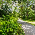 peace_resort-0013