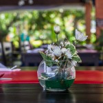 peace_resort-0065