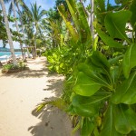 peace_resort-0132
