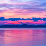 peace_resort-0493