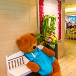 peace_resort-4308