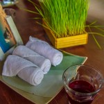 peace_resort-9987