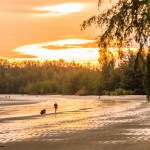 krabi_2014-7241