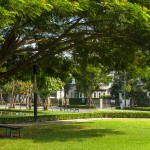 pruklada_bangna-6292