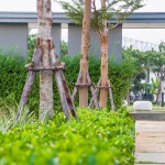 pruklada_rangsit-7063