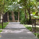 siripanna-6300