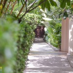 siripanna-6305