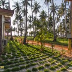 seafah_resort-9150