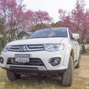chiangrai_2014-1235