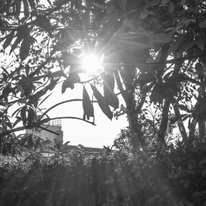 pruklada_prachaauthit-8043