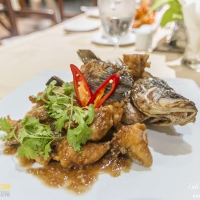 ravindra_pattaya-7331