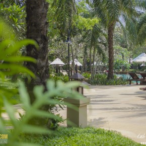 ravindra_pattaya-7467