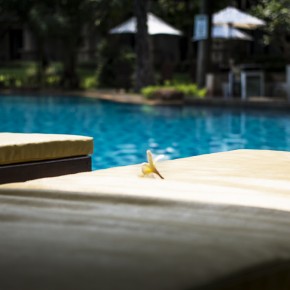 ravindra_pattaya-7471