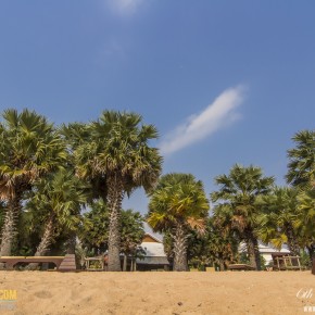 ravindra_pattaya-7697