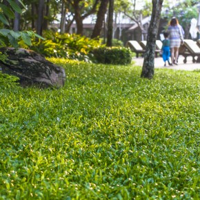 ravindra_pattaya-8073
