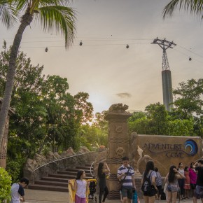 singapore_2015-2769