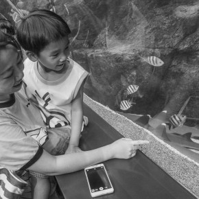 singapore_2015-3424