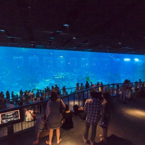 singapore_2015-3468