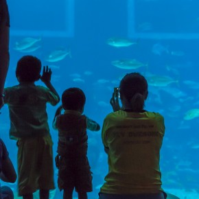 singapore_2015-3505
