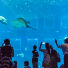singapore_2015-3506
