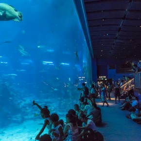 singapore_2015-3514