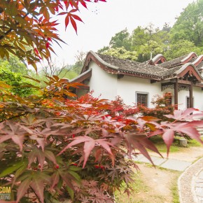 china_changsa-1876