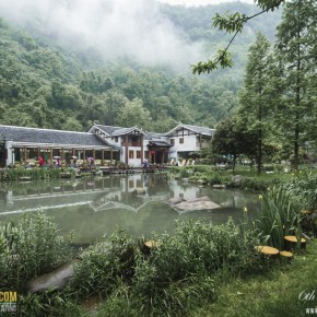 china_changsha-3285