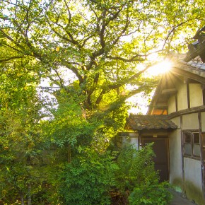 japan_airbnb-3021