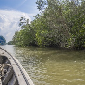 krabi_7greens-5204