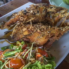 krabi_7greens-5360