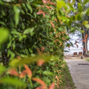 krabi_7greens-5601