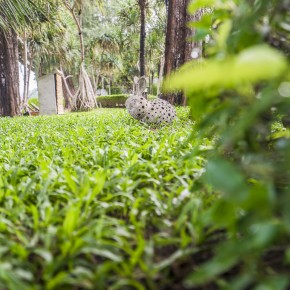 krabi_7greens-5622