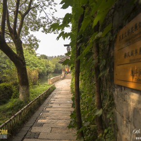 nanjing-6093