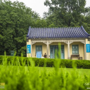 nanjing-6568