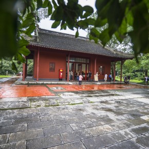nanjing-6785