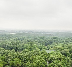 nanjing-6914
