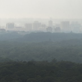 nanjing-6929