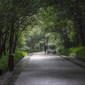 nanjing-6937
