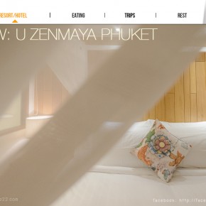 U_ZENMAYA_cover