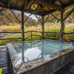 japan_autumn_2015-7888