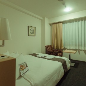 mercure_MG_8678