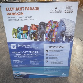 bangkok_elephant-5206