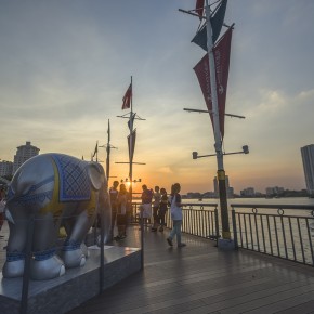 bangkok_elephant-5223