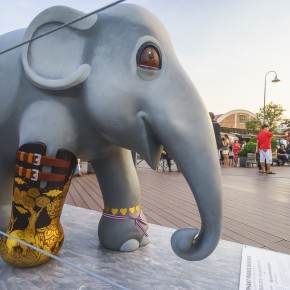 bangkok_elephant-5230