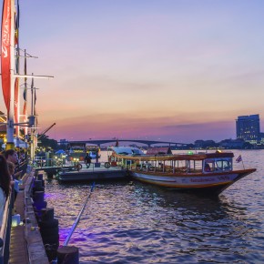 bangkok_elephant-5338