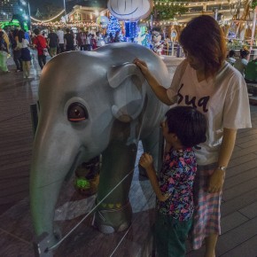 bangkok_elephant-5349