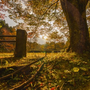 japan_autumn_2015-4934