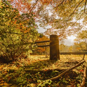 japan_autumn_2015-4935